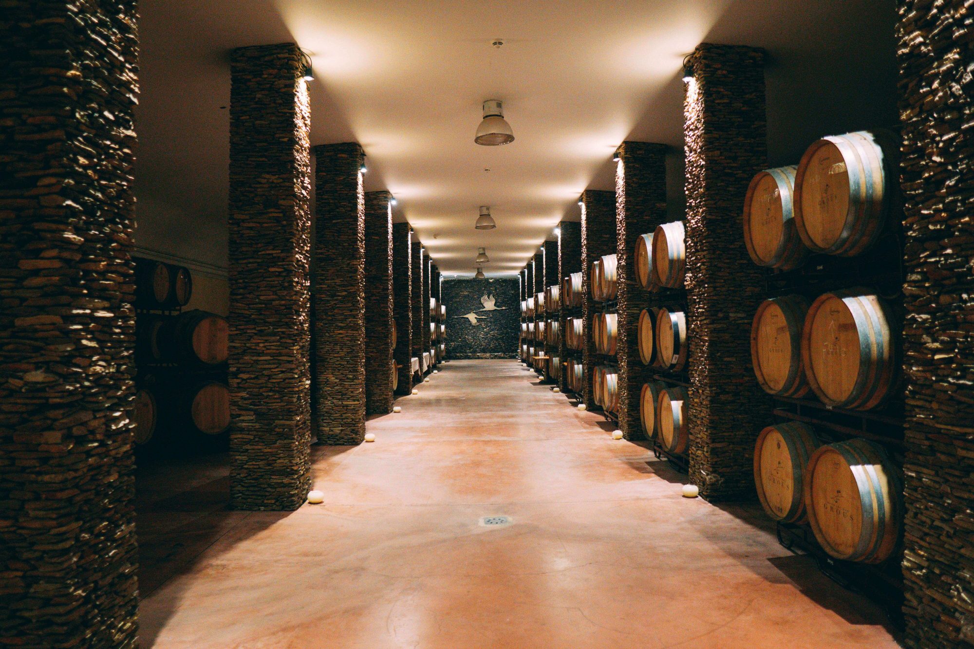 herdade-dos-grus-winery-wine-cellar-alentejo-portu-9PKTKYQ | Arquiconsult - Soluções Microsoft Dynamics 365: Arquiconsult é uma empresa Consultora de Sistemas de Informação - 9070