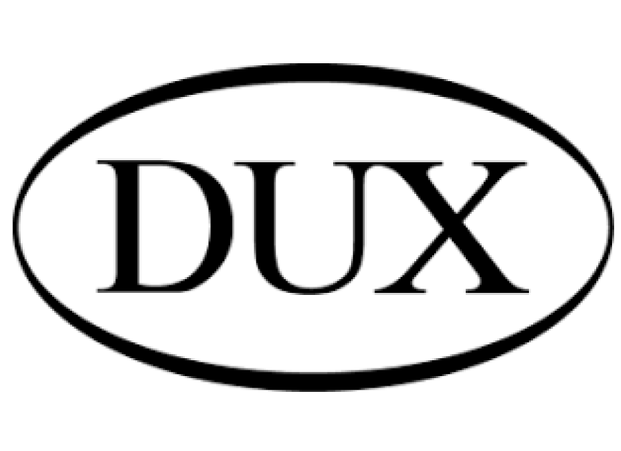 Dux-Logo-Business Intelligence
