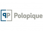 Polopique-Logo-Business Intelligence