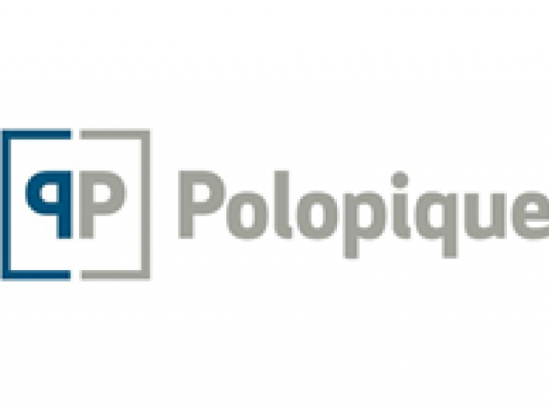 Polopique-Logo-Business Intelligence