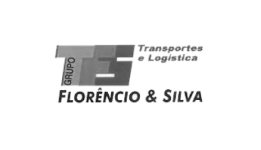 TFS - Transportes Florêncio e Silva, Nelson Lopes, Dir. de Logística