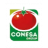 conesa